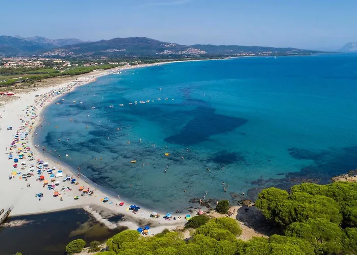 Apartament Cozy 300mt From The