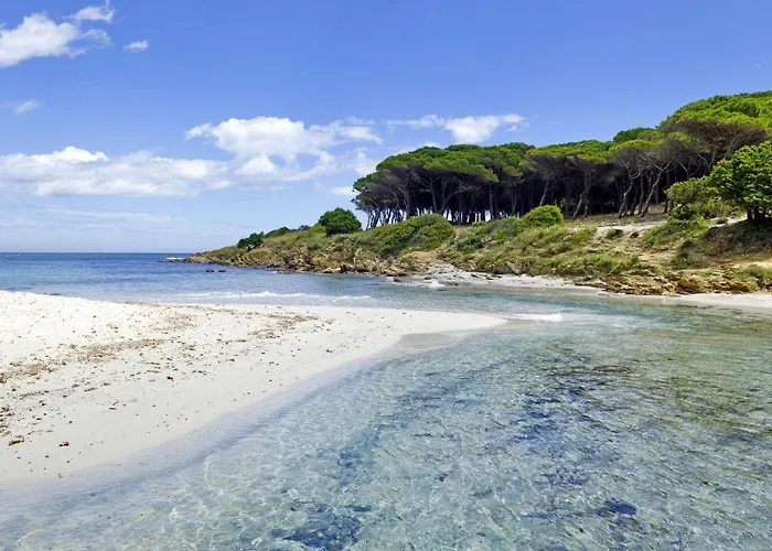 Cozy 300mt From The Budoni